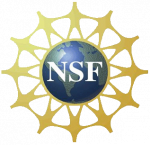 National Security Force Seal