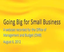 Going Big for Small Business Going Big for Small Business